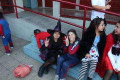 IMG_4275_1728x1152