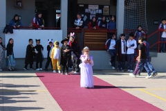 IMG_5095 (Copy)