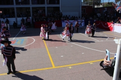 IMG_6262 (Copy)