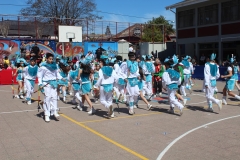 IMG_6491 (Copy)